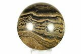 Polished Stromatolite (Greysonia) Sphere - Bolivia #264435-1